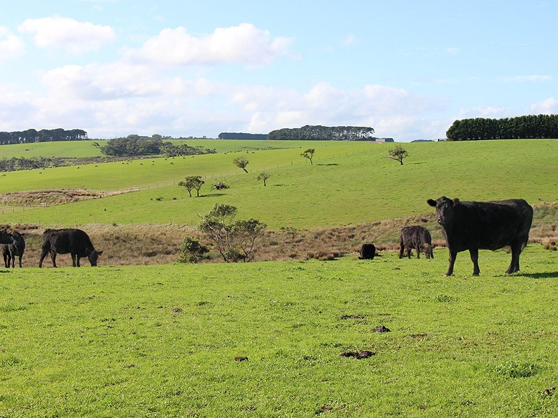 779 Tapanappa Road, Parawa SA 5203