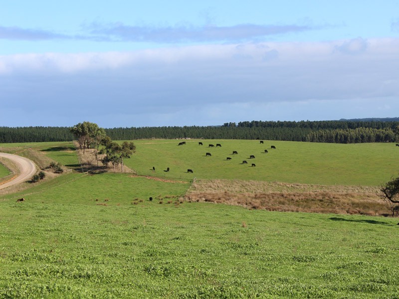 779 Tapanappa Road, Parawa SA 5203