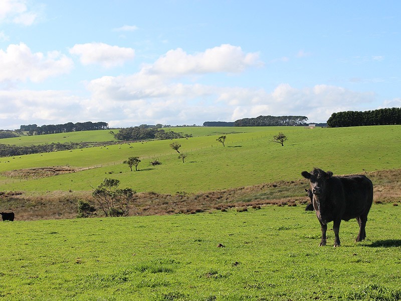 779 Tapanappa Road, Parawa SA 5203