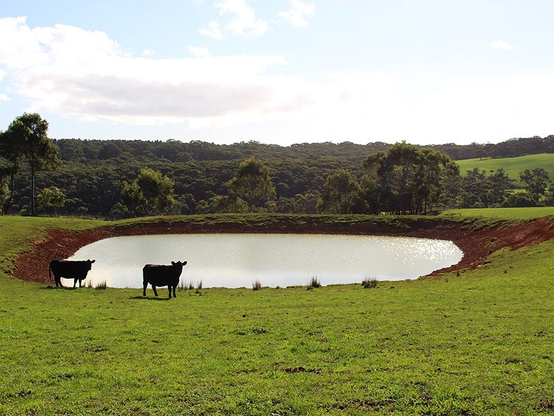 779 Tapanappa Road, Parawa SA 5203