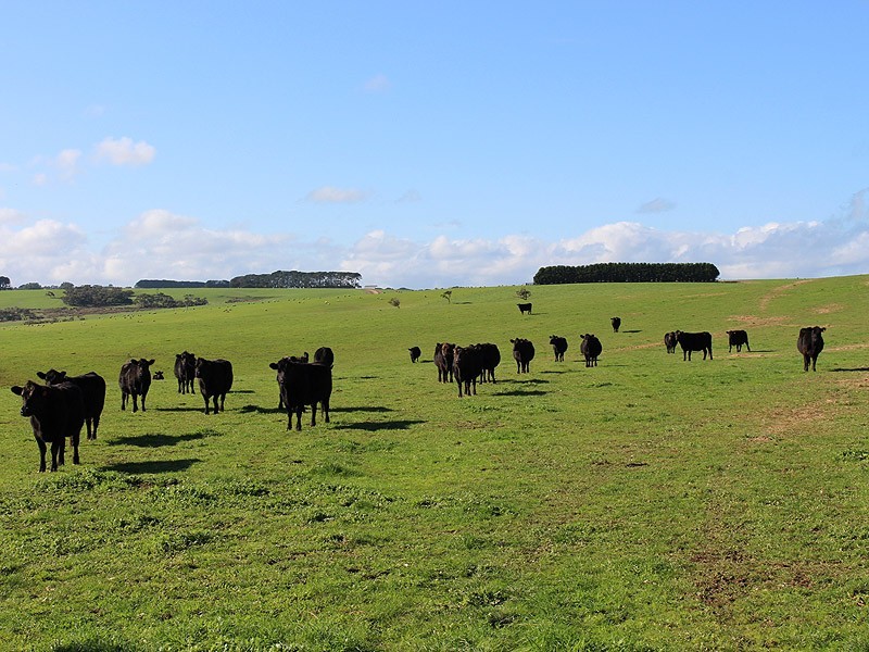 779 Tapanappa Road, Parawa SA 5203