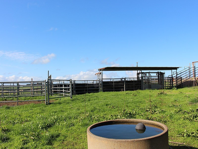 779 Tapanappa Road, Parawa SA 5203