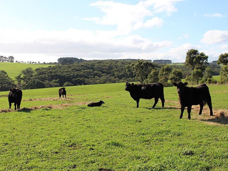 779 Tapanappa Road, Parawa SA 5203