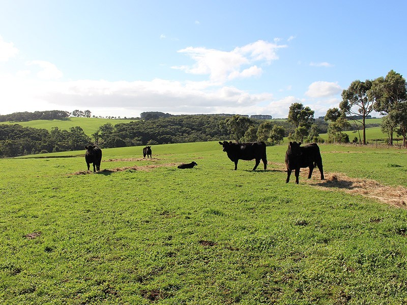 779 Tapanappa Road, Parawa SA 5203