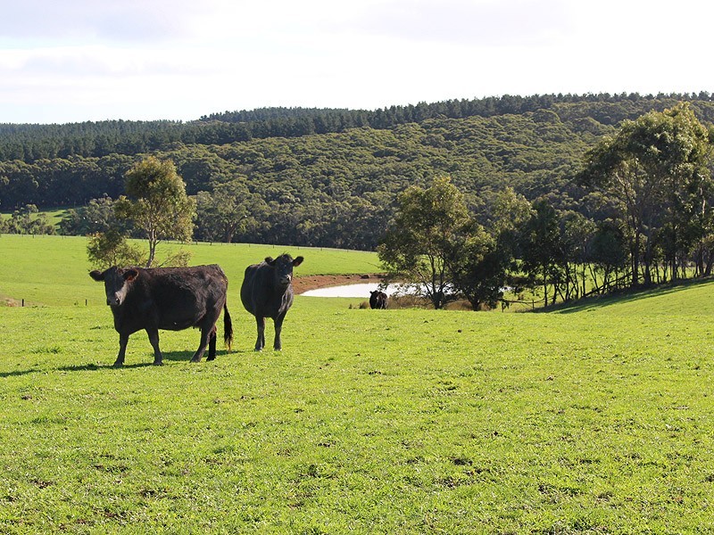 779 Tapanappa Road, Parawa SA 5203