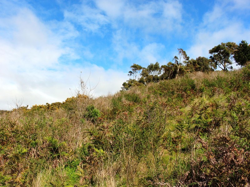 Sec 100 Bullaparinga Crescent, Delamere SA 5204