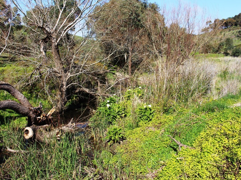 Sec 100 Bullaparinga Crescent, Delamere SA 5204