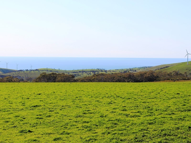 Allotment 2, 9058 Main South Rd, Delamere SA 5204