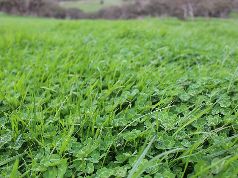 Allotment 2, 9058 Main South Rd, Delamere SA 5204