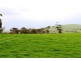 Allotment 4 9058 Main South Rd, Delamere SA 5204