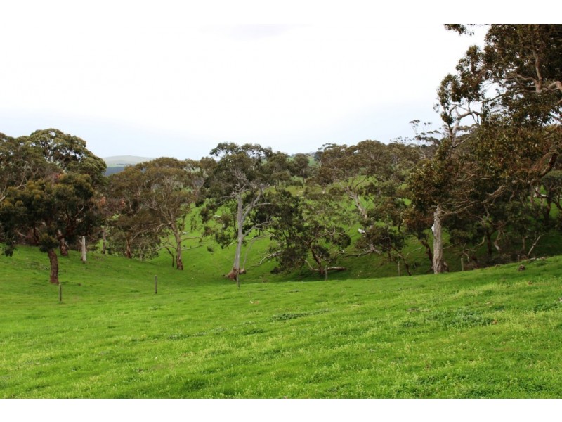 Allotment 4 9058 Main South Rd, Delamere SA 5204