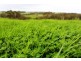 Allotment 4 9058 Main South Rd, Delamere SA 5204