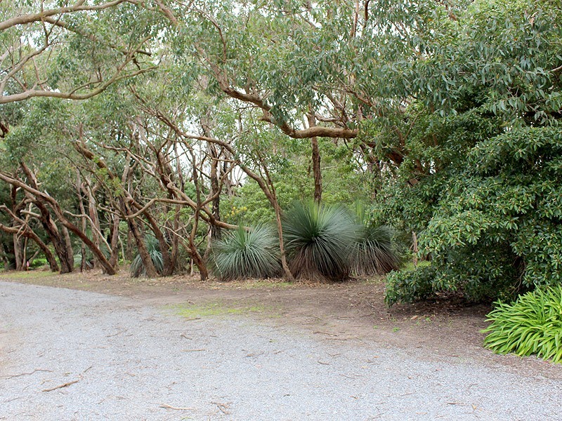 Allotment 5 9058 Main South Rd, Delamere SA 5204