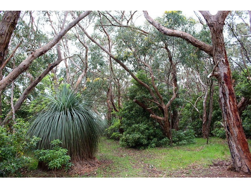 Allotment 5 9058 Main South Rd, Delamere SA 5204