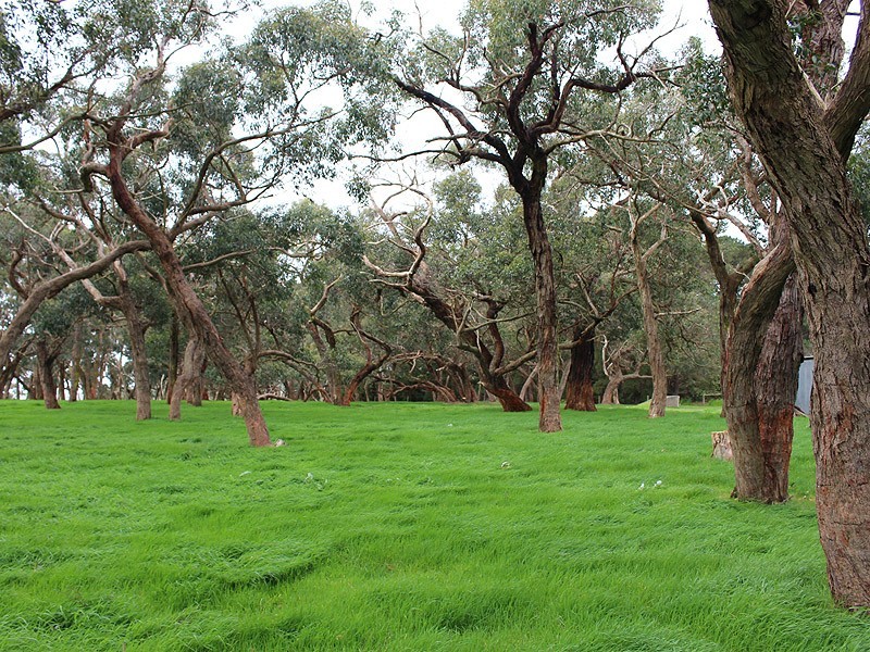 Allotment 5 9058 Main South Rd, Delamere SA 5204