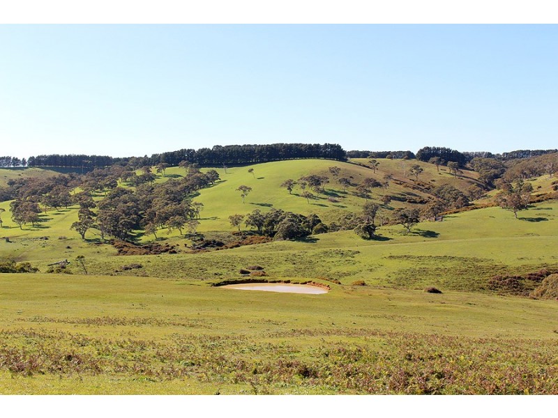 Lot 20 Main South Rd, Delamere SA 5204