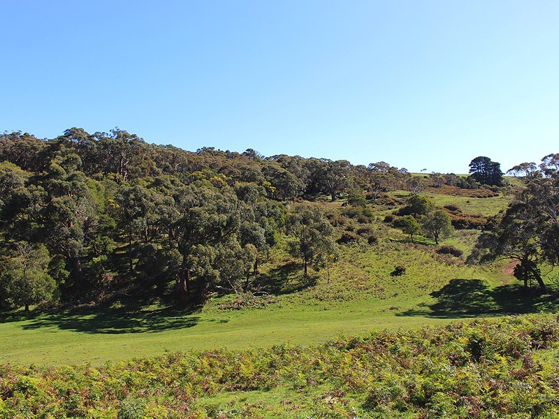 Lot 20 Main South Rd, Delamere SA 5204
