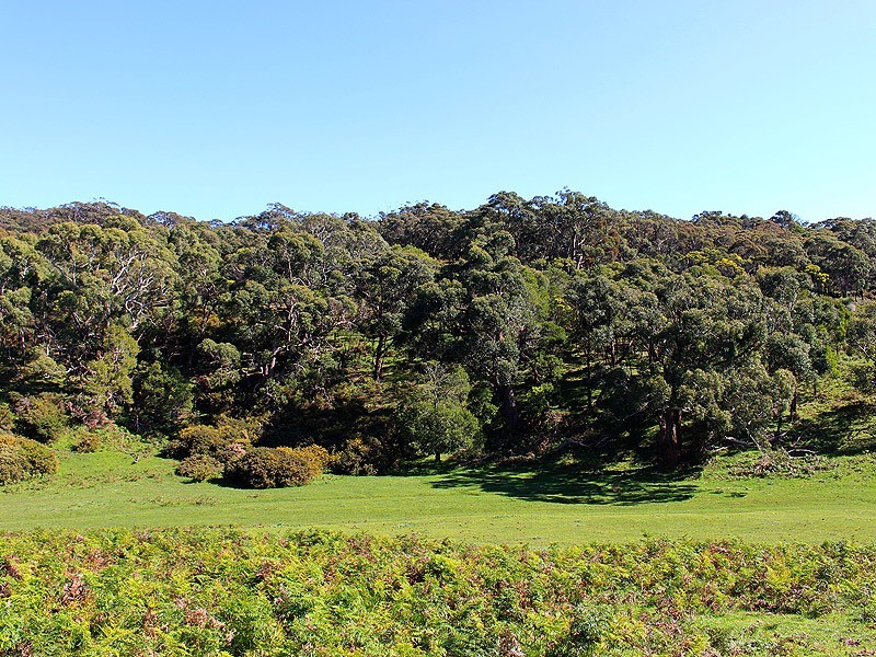 Lot 20 Main South Rd, Delamere SA 5204