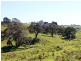 Lot 20 Main South Rd, Delamere SA 5204