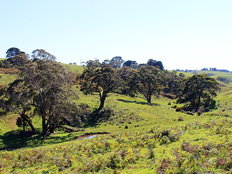 Lot 20 Main South Rd, Delamere SA 5204