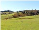 Lot 20 Main South Rd, Delamere SA 5204