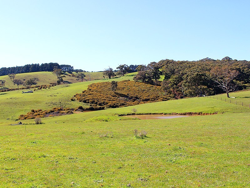 Lot 20 Main South Rd, Delamere SA 5204