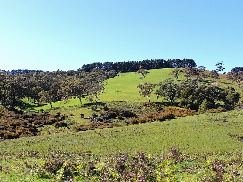 Lot 20 Main South Rd, Delamere SA 5204