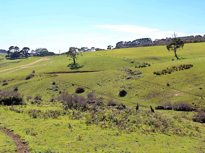 Lot 20 Main South Rd, Delamere SA 5204