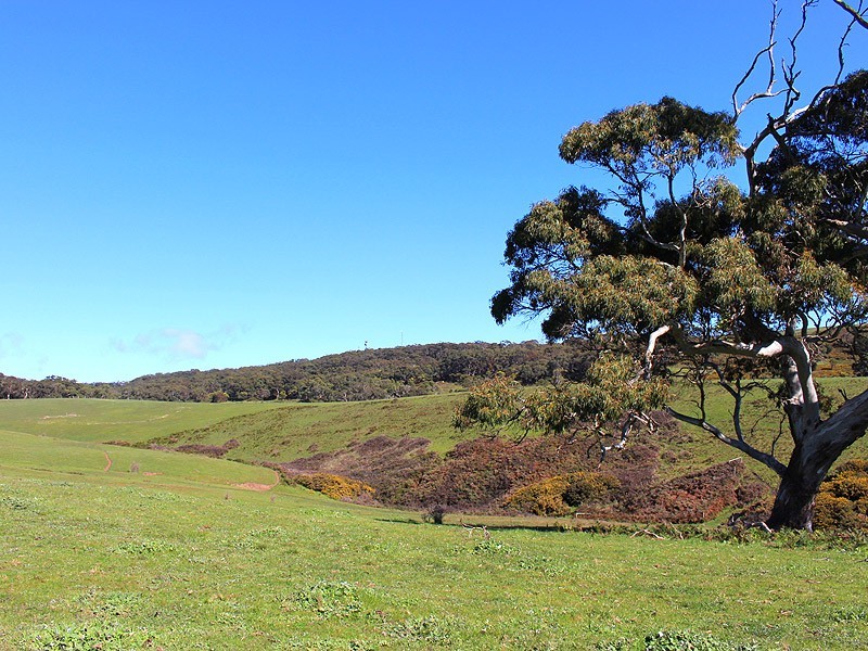 Lot 20 Main South Rd, Delamere SA 5204