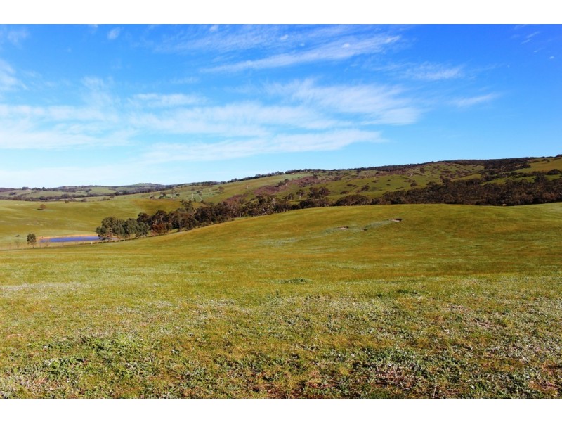 104 Rymill Road, Ashbourne SA 5157