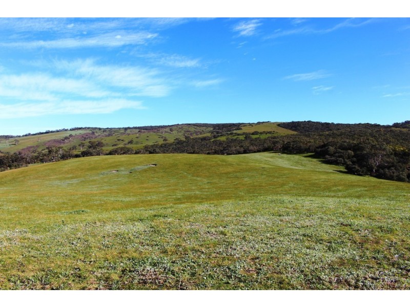 104 Rymill Road, Ashbourne SA 5157