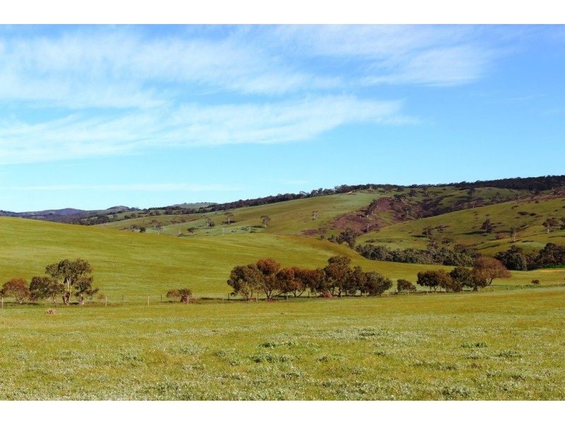 104 Rymill Road, Ashbourne SA 5157