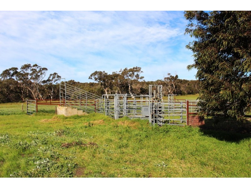 104 Rymill Road, Ashbourne SA 5157