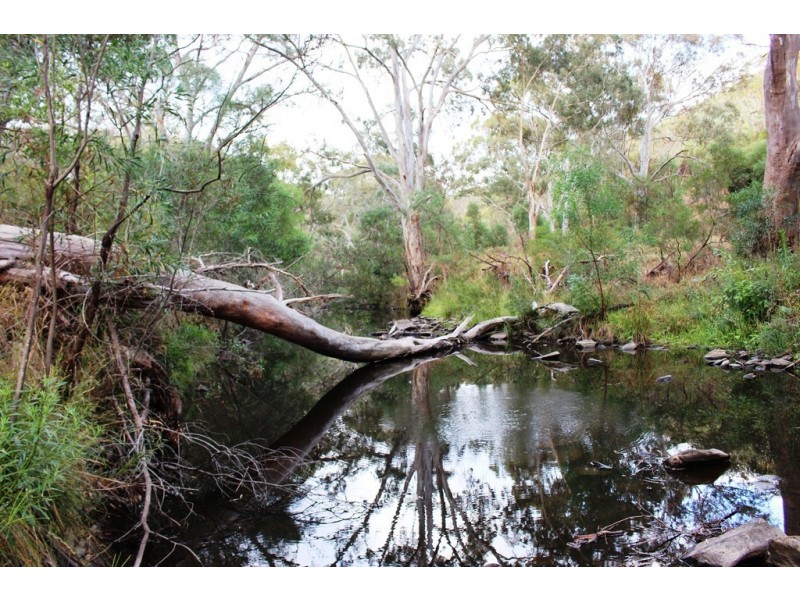 104 Rymill Road, Ashbourne SA 5157