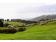 2381 Range Road, Willow Creek SA 5211