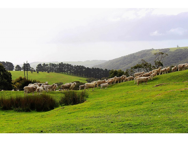2381 Range Road, Willow Creek SA 5211