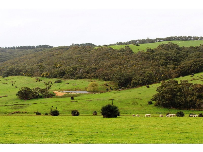 2381 Range Road, Willow Creek SA 5211