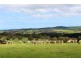 2381 Range Road, Willow Creek SA 5211