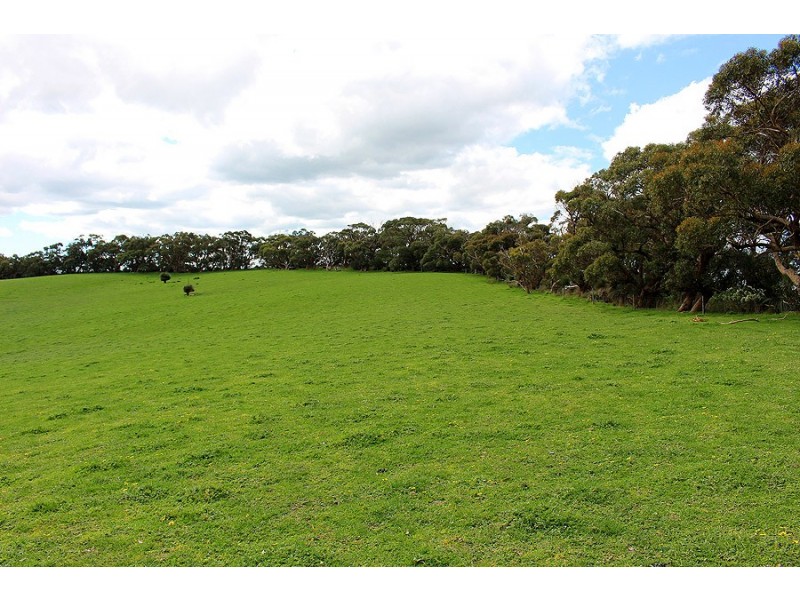 2381 Range Road, Willow Creek SA 5211