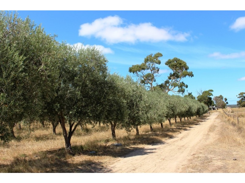 957 Signal Flat Road, Strathalbyn SA 5255