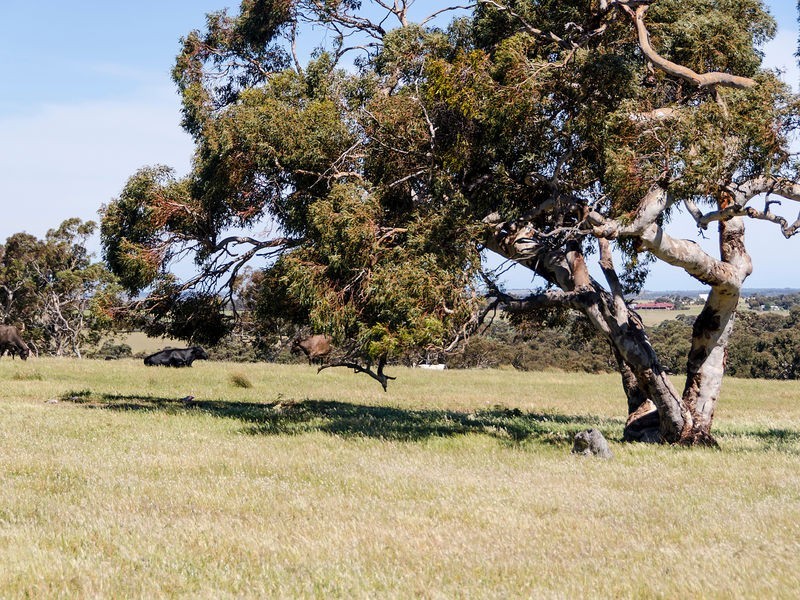 957 Signal Flat Road, Strathalbyn SA 5255