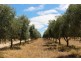 957 Signal Flat Road, Strathalbyn SA 5255