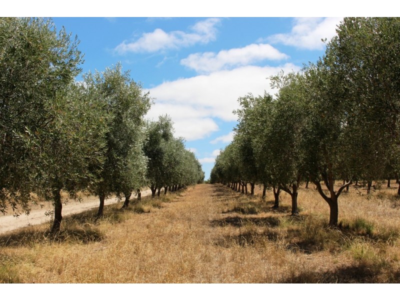 957 Signal Flat Road, Strathalbyn SA 5255