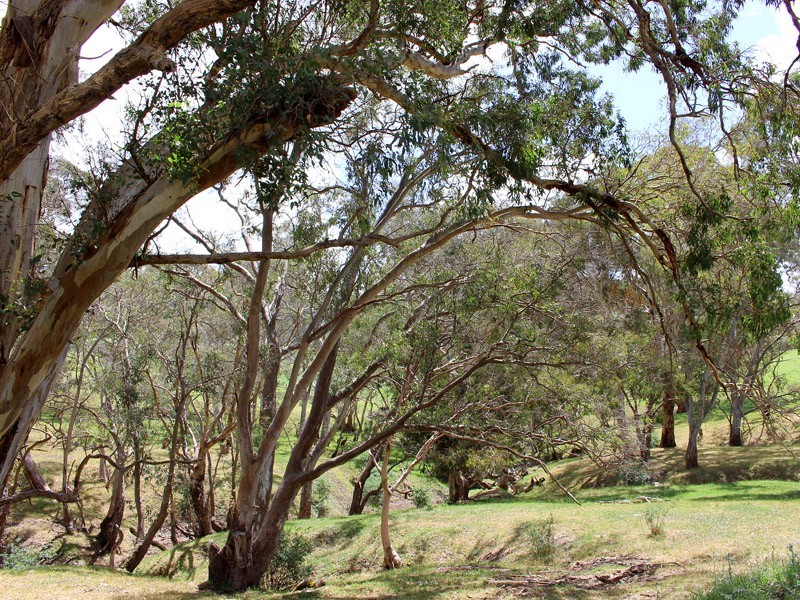 130 James Track, Inman Valley SA 5211