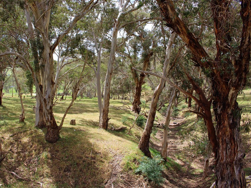 130 James Track, Inman Valley SA 5211