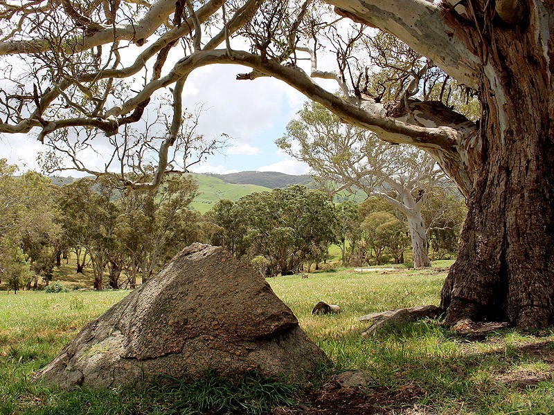 130 James Track, Inman Valley SA 5211