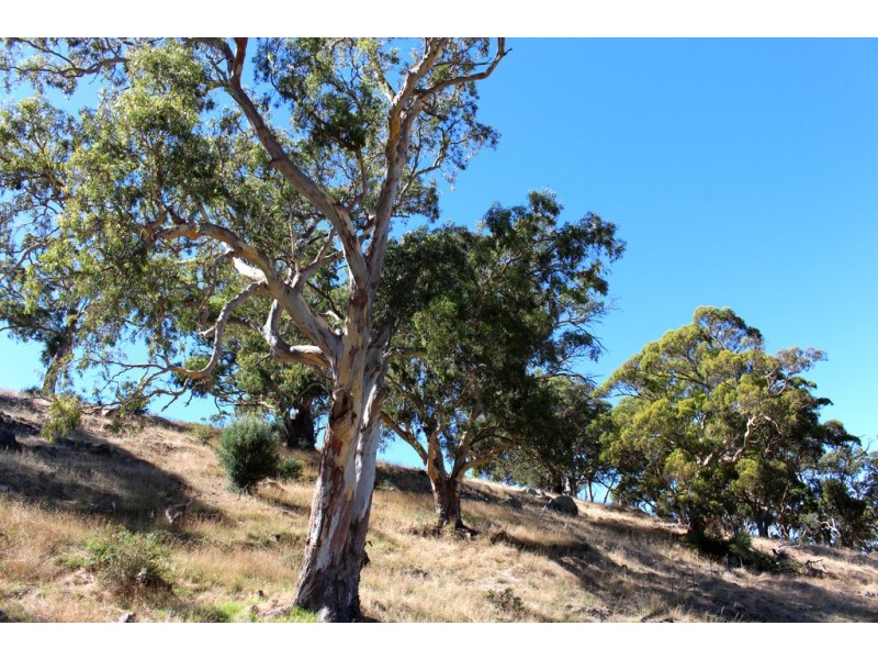 Lot 50 Inman Valley Road, Victor Harbor SA 5211