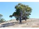 Lot 50 Inman Valley Road, Victor Harbor SA 5211