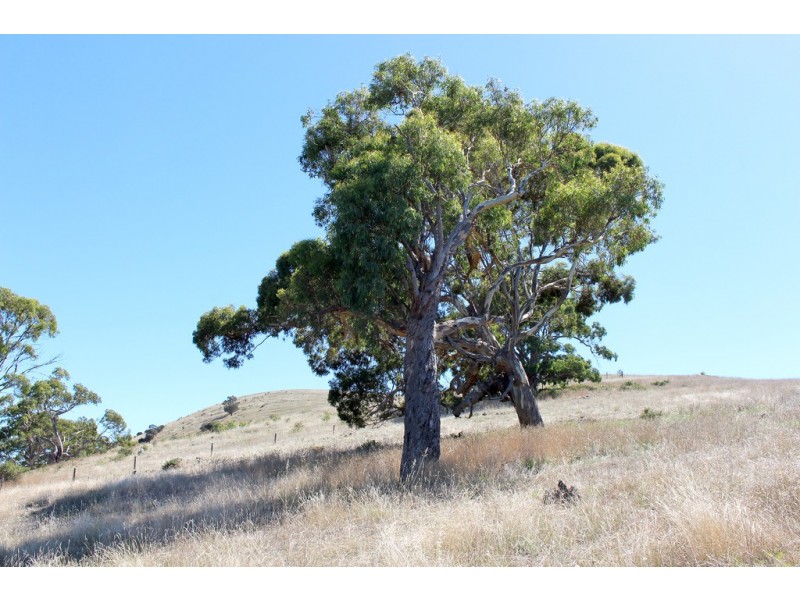 Lot 50 Inman Valley Road, Victor Harbor SA 5211