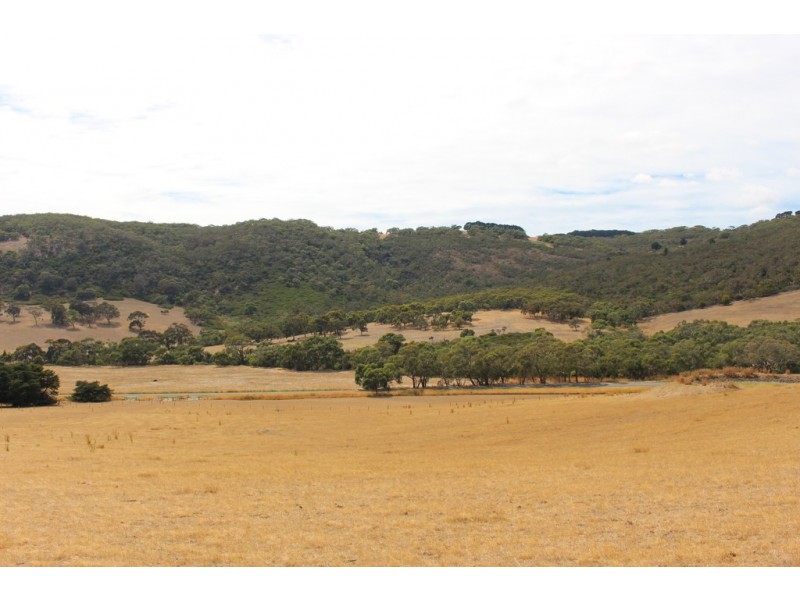 Lot 63 – (296) Parawa Road, Parawa SA 5203